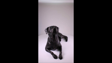 Preview: Produktvideo Kunstharzurne Rhodesian Ridgeback