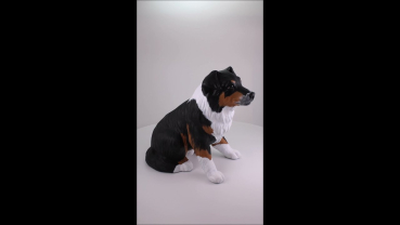 Preview: Produktvideo Tierurne Hund nach Fotovorlage