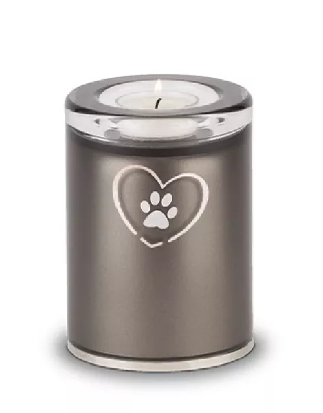 Tierurne aus Glas, Herz-Pfote, Gedenklicht, versch. Farben und Größen