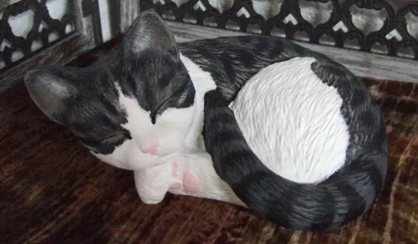Katze liegend weiß-getigert