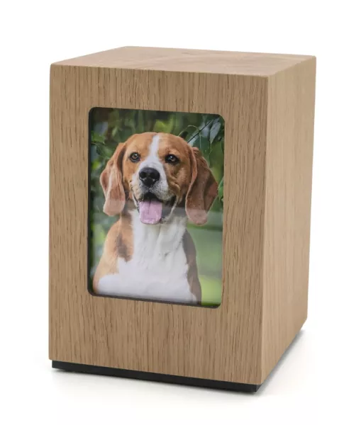 Tierurne Adhara mit Ausschnitt rechteckig