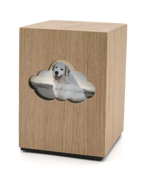 Tierurne Adhara mit Ausschnitt Wolke