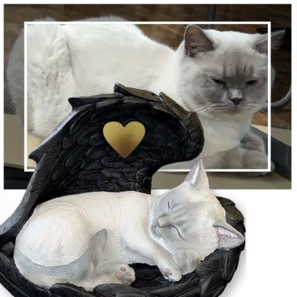Tierurne Katze in Engelsflügel nach Fotovorlage bemalt, Flügel schwarz, Herz goldfarben Tierurne Katze in Engelsflügel nach Fotovorlage bemalt, Flügel schwarz, Herz goldfarben