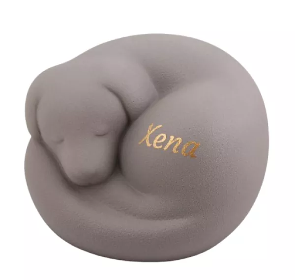 Beispiel einer Folienbeschriftung Name Xena in goldfarben auf Art.Nr. 830023