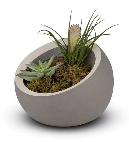 Tierurne Terra 2,5 Liter bepflanzt