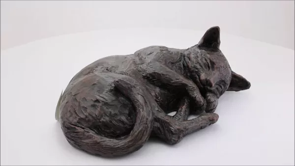 Produktvideo Katzenurne ruhende Katze