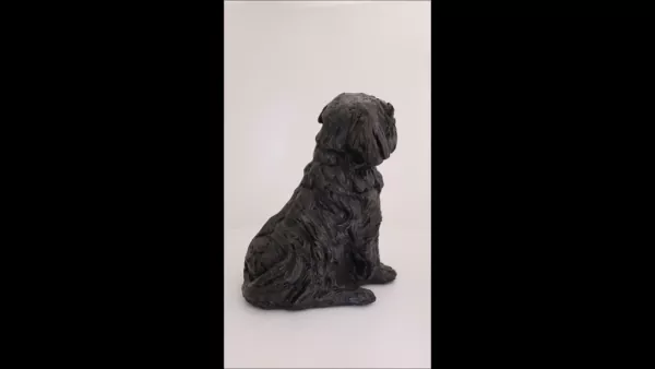 Produktvideo Kunstharzurne Shih Tzu-Skulptur Produktvideo Kunstharzurne Shih Tzu-Skulptur